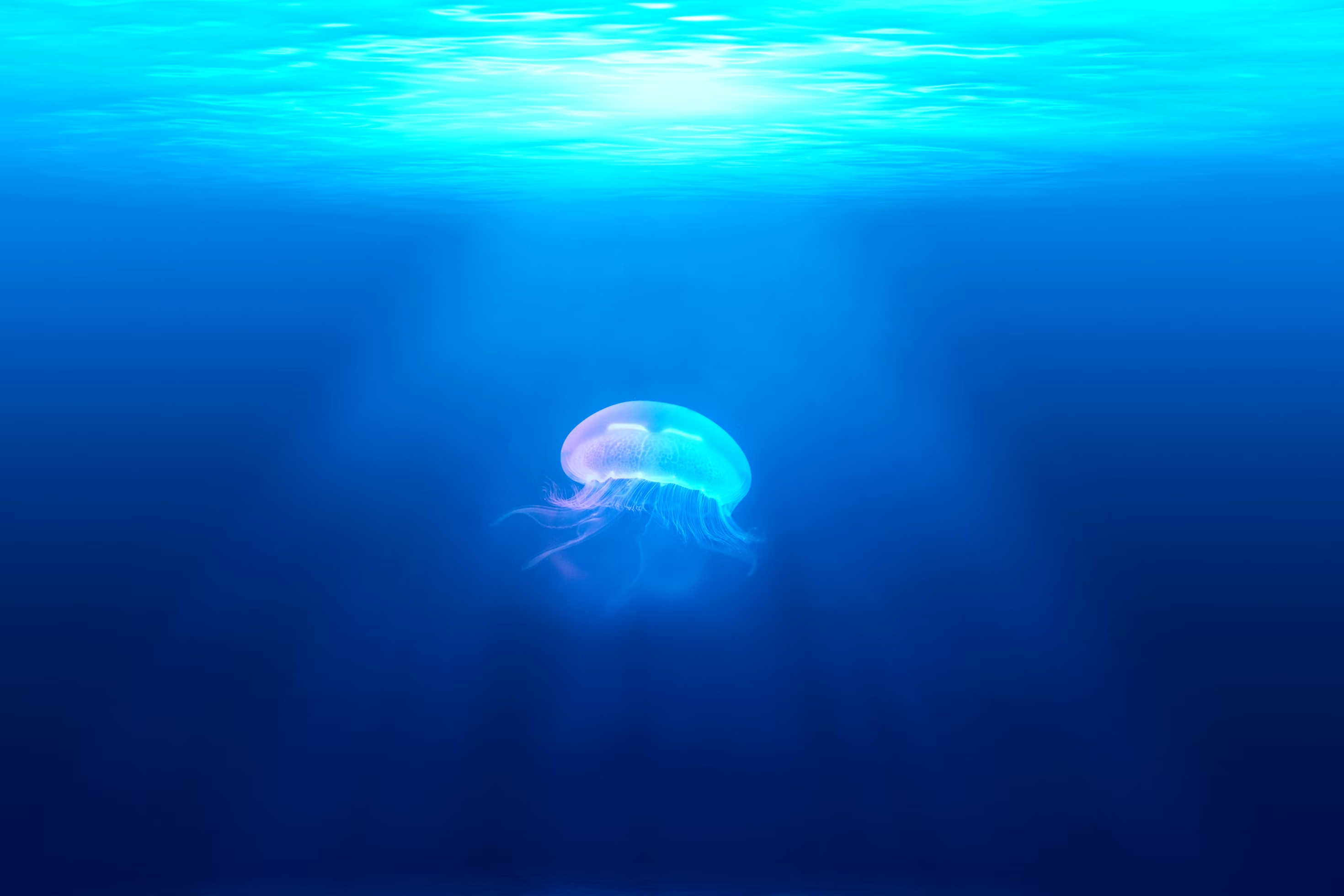Collab background image